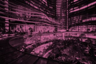 Sostenibilidad empresarial