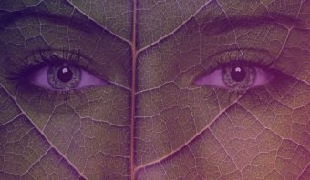Qué es el greenwashing