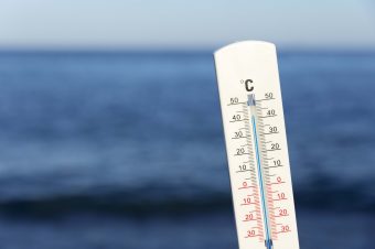 temperatura-calor-prevenir