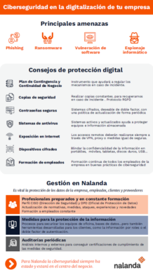 Infografía de ciberseguridad